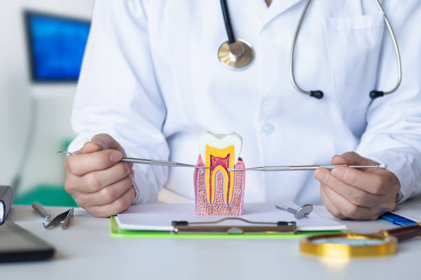 Best Emergency Dental Care for Sports Injuries in Scottsbluff, NE